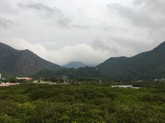 -大澳渔村及棚屋