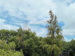 -西园戒幢律寺