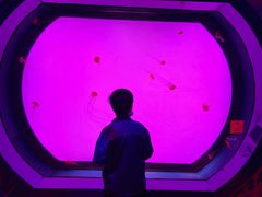 -沈阳海洋探索中心