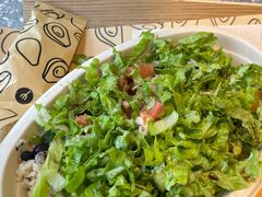 -油梨树AVOCADO TREE(望京店)