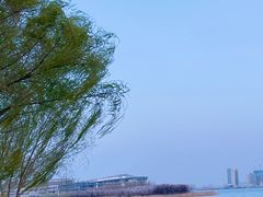 -北龙湖湿地公园