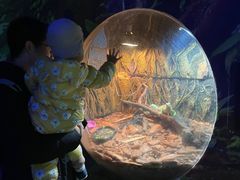 -江和美海洋公园