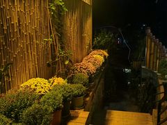 -云涛森林温泉