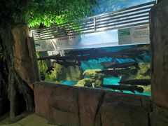 -泉州海丝野生动物世界