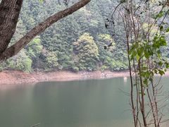 -广州市石门国家森林公园
