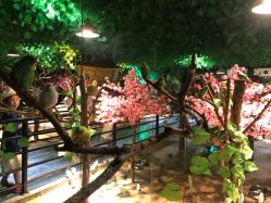 -酷嗒动物文化乐园(cutezoo西溪乐天城店)