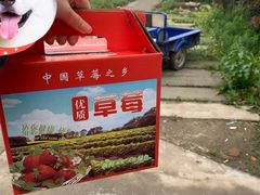 -小鱼草莓采摘园农家乐·小鱼餐厅