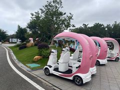 -芒洲湿地公园