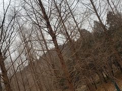 -白水寺森林公园