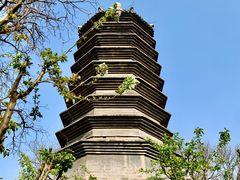-正阳书局(西四南大街店)