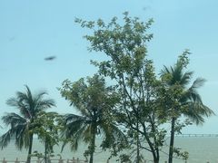 -港珠澳大桥(珠海段)