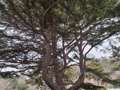 -青岛德国总督楼旧址博物馆