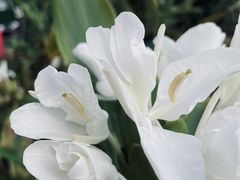 -南国桃园旅游度假区