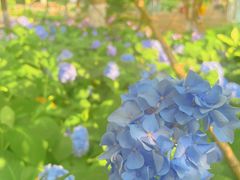 -常州古运河南大街文化旅游区-人民公园