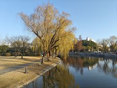 -上海大学(宝山校区)