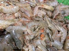 -福缘烤肉王自助(爱琴海-原比尔森店)