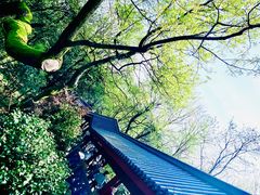 -岳麓山风景名胜区