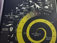 -中国西峡恐龙遗迹园