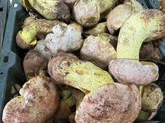 -双喜农庄·菌香园(安居家园店)