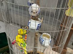 -锦府盐帮·侯宅(五棵松万达店)