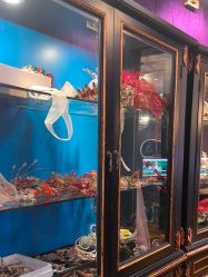 -鼎极摄影(蓝色港湾店)