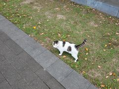 -蠡湖大桥公园