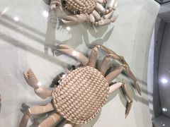 -盘锦特产博物园