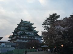 -名古屋城