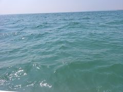 -日照世帆赛基地