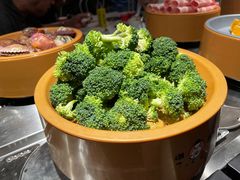 -龍歌自助小火锅(崂山丽达店)