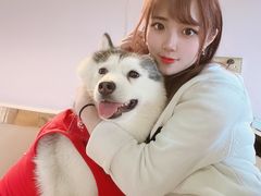 -Husky Go! 哈士奇体验馆·宠物咖啡厅狗咖