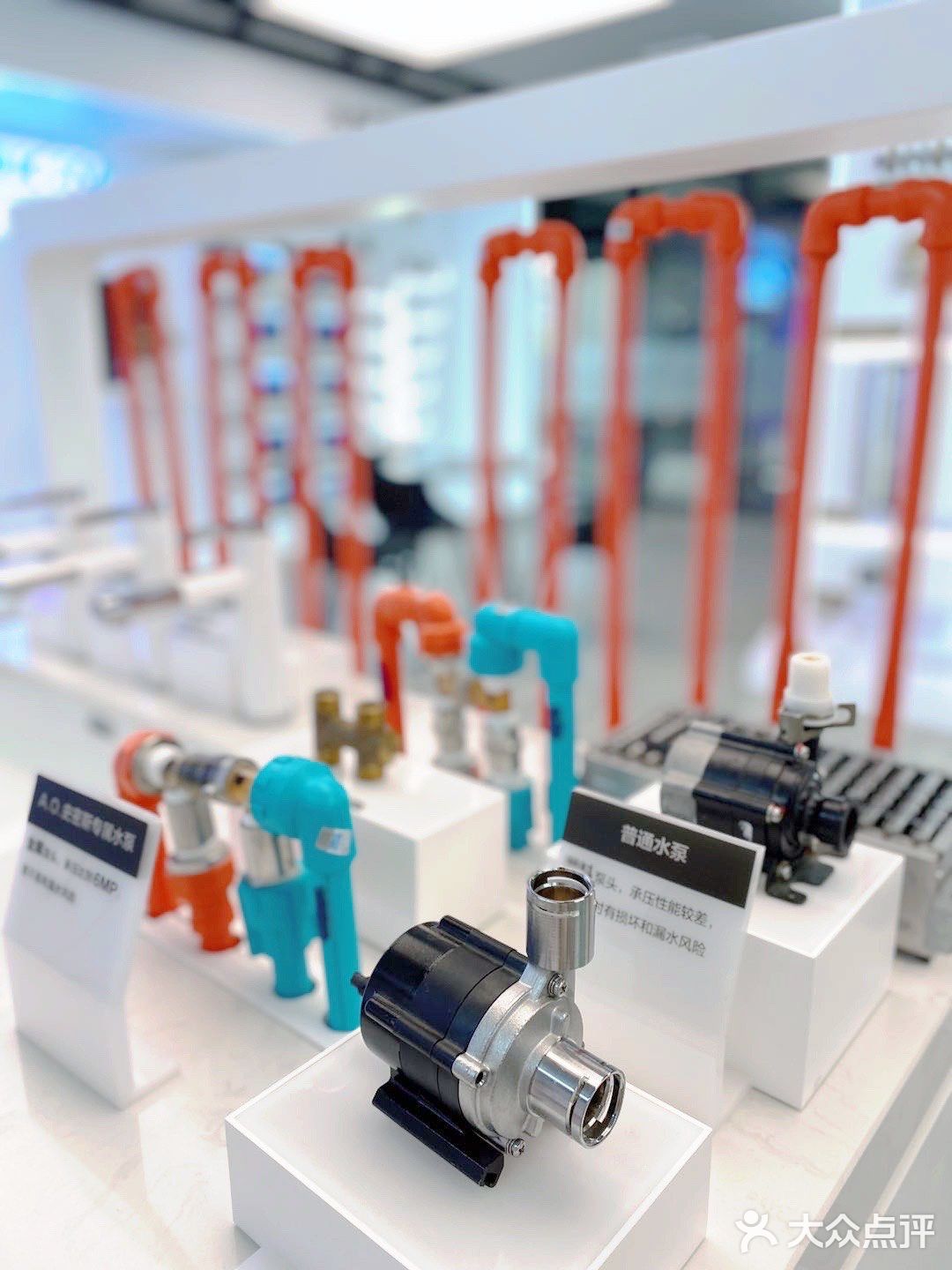 南京探店｜这家店也太好逛了我爱了