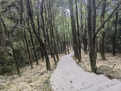 -火炉山森林公园