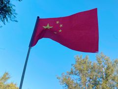-嘉定紫藤园