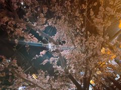 -绿茶餐厅(朝阳大悦城店)