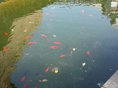 android_upload_pic-苏州吴宫泛太平洋酒店