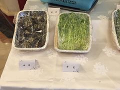 -满江红四季餐厅 · 国家五钻级酒家(新纪元大酒店店)