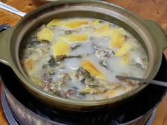 -醋缘臭屁醋