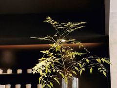 -野鸽子咖啡(航空路店)