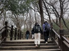 -紫金山山顶公园