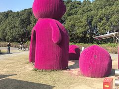 -嘉北郊野公园