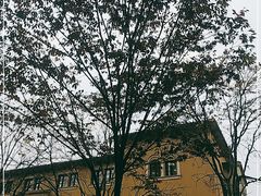 -知味观(翡翠城店)