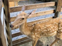 -广州锦绣香江度假别墅(官方直营店)