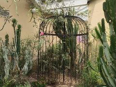 -正佳雨林生态植物园