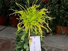-郑州植物园