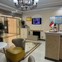 -安院长·产后恢复·徒手骨盆(先天下店)