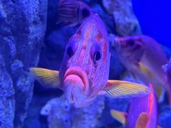 -成都浩海立方海洋公园