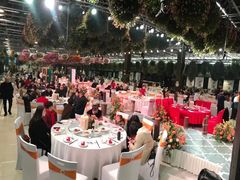 -常州花鸟园酒店(西太湖品牌优选店)