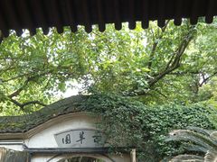 -绍兴鲁迅故里·沈园景区