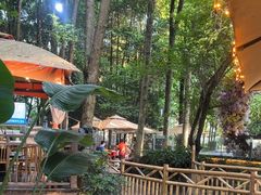 -二荆条·蜀鲜汇城市森林火锅